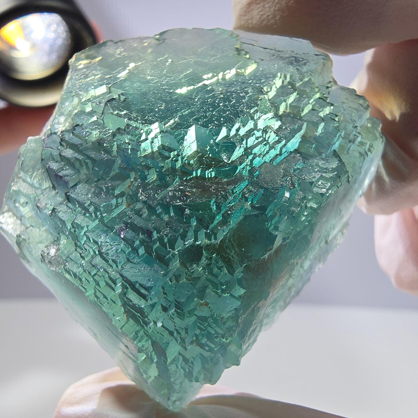 Spécimen de cube de fluorite fantôme transparente, vert parqueté, Okorusu, Namibie, 47 x 40 x 22 mm