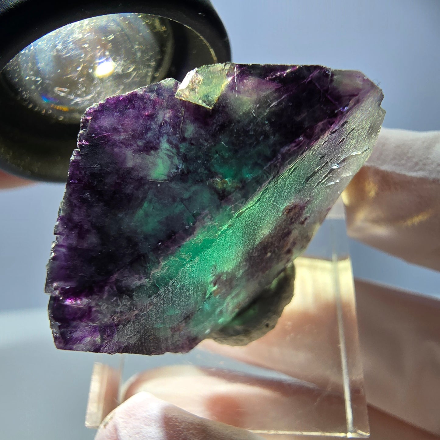 Spécimen de cube de fluorite fantôme, parqueté vert violet Okorusu, Namibie 31*22*16 mm