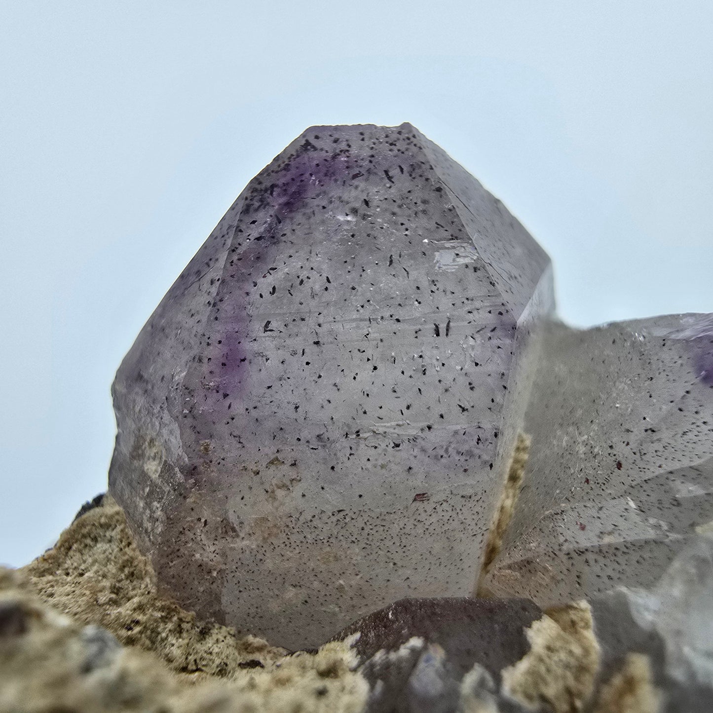 Phantom Amethyst Zepter auf Matrix Goboboseb, Namibia 62*34*30mm Sammlung