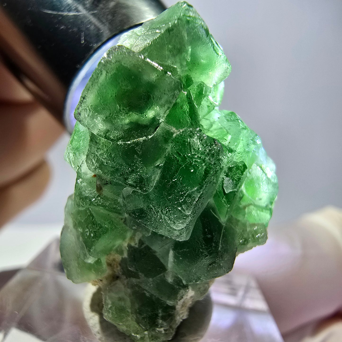 Cube de fluorite fantôme, muscovite et tourmaline Schorl, spécimen d'Erongo, Namibie, 29 x 19 x 17 mm