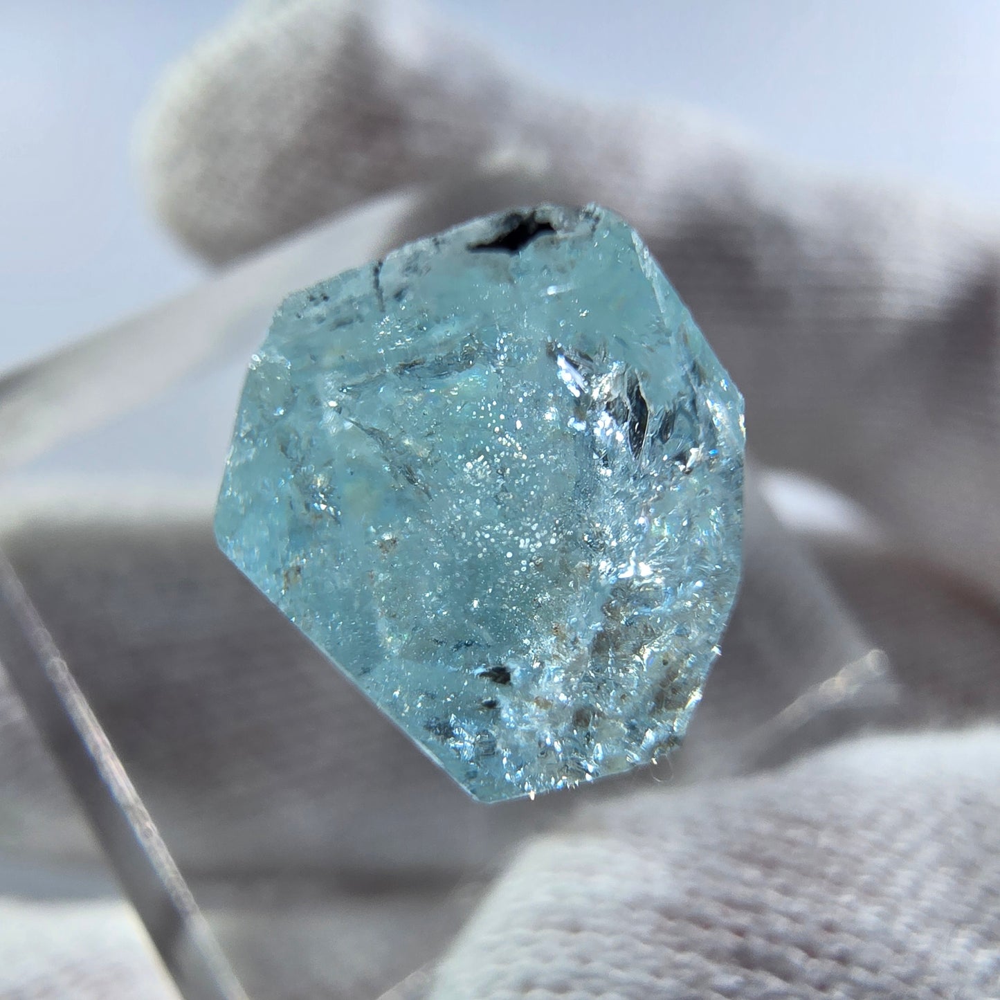 Aigue-marine Setlene, spécimen de tourmaline Schorl, Erongo, Namibie, 23 x 11 x 9 mm