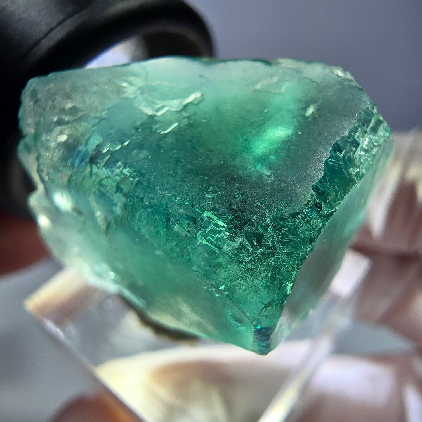Cube de fluorite fantôme transparente parquetée, vert Okorusu, Namibie 27 x 24 x 23 mm