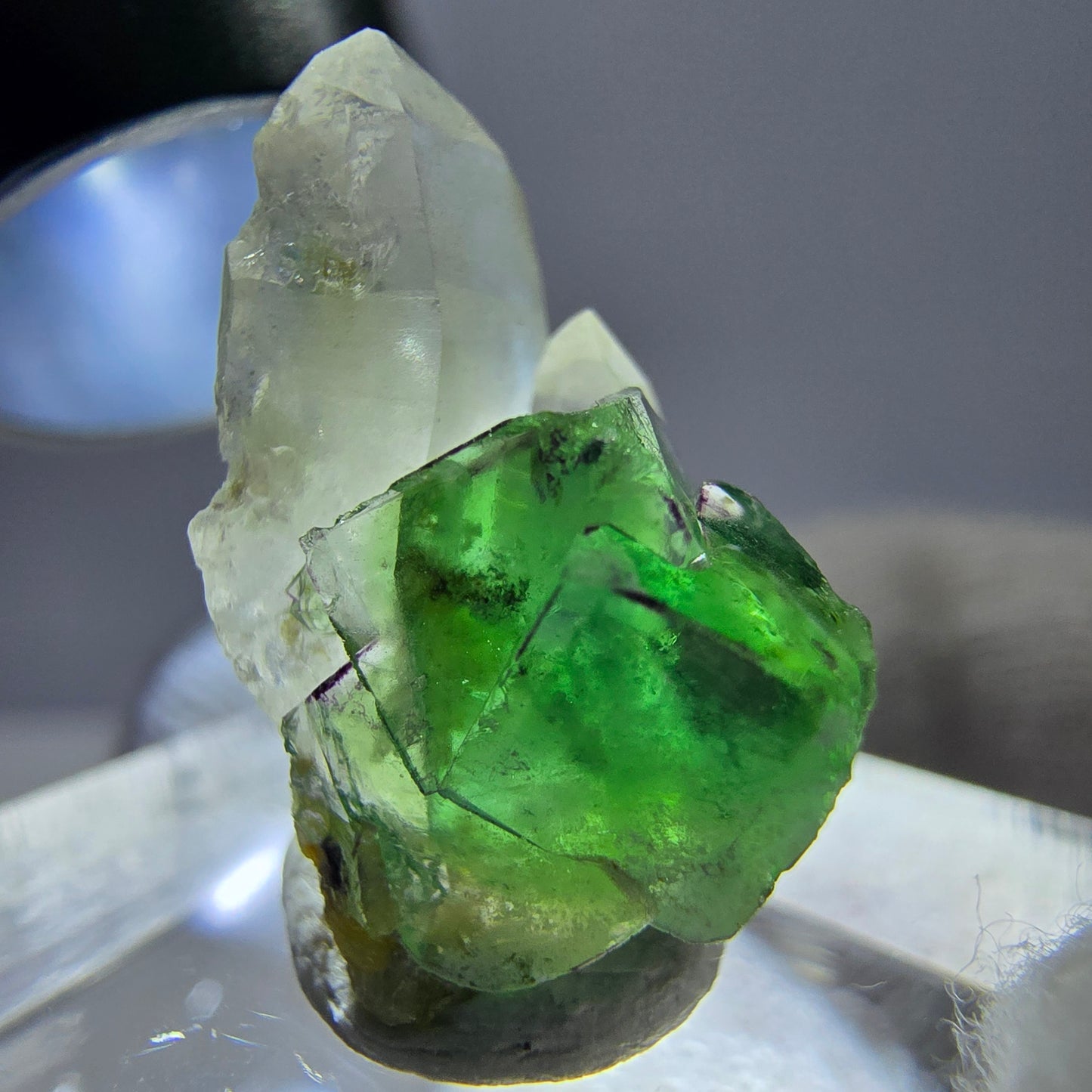Cube de fluorite fantôme, spécimen de quartz fumé, Erongo, Namibie, 19 x 10 x 12 mm