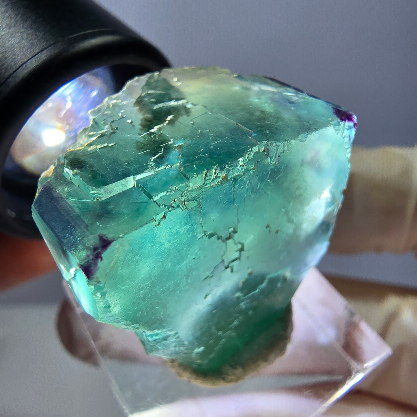 Cube de fluorite fantôme parqueté, zonal, vert violet Okorusu, Namibie 27*27*20mm