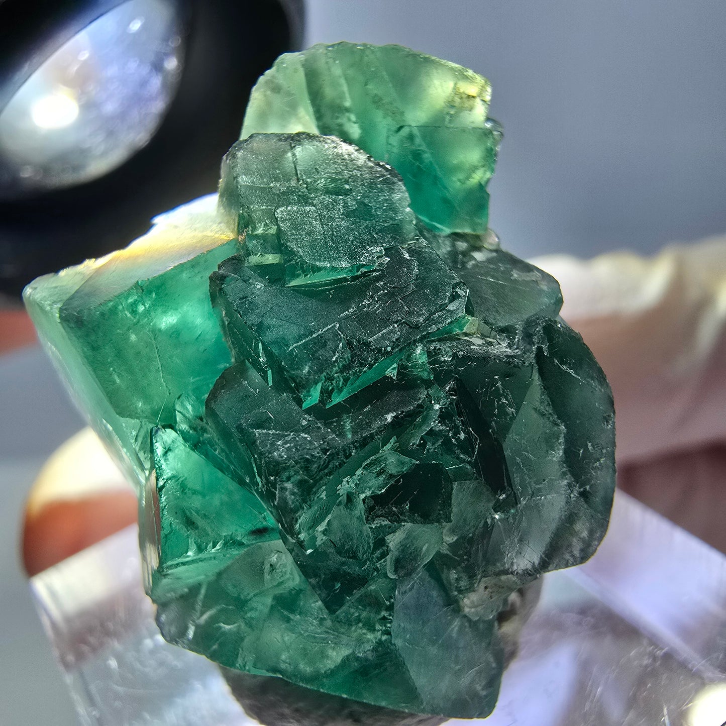 Phantom Fluorit Würfel Stufe, grün parkettiert Okorusu, Namibia 28*24*18mm