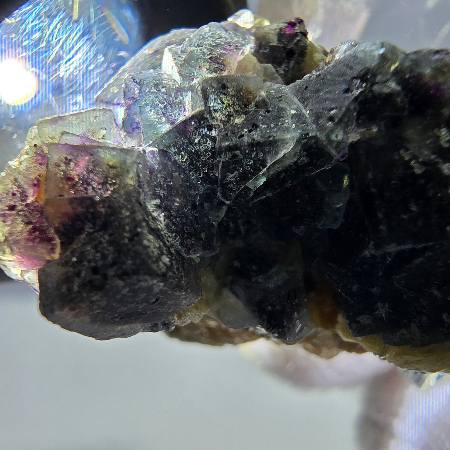Cubes de fluorite fantôme colorés, spécimen de muscovite, Erongo, Namibie, 31 x 25 x 23 mm