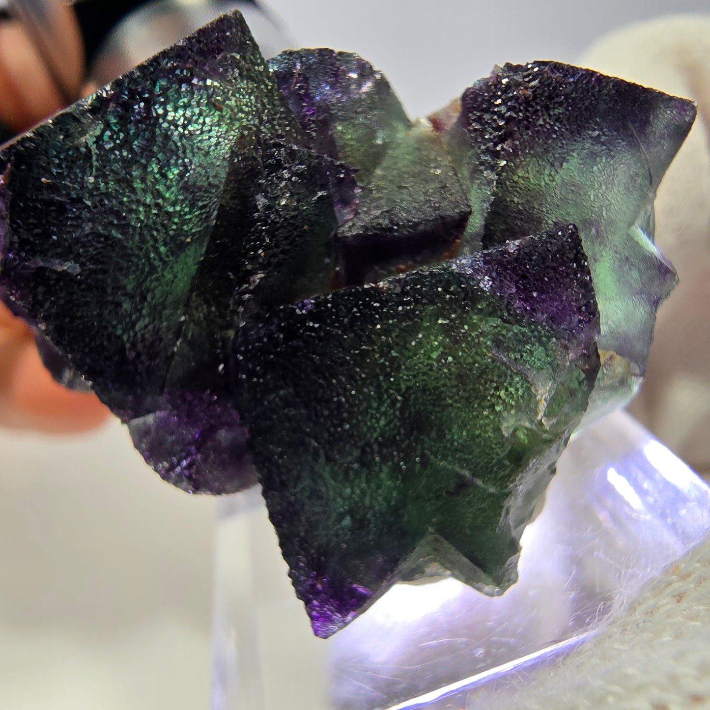 Spécimen zonal de cube de fluorite fantôme, vert violet, Okorusu, Namibie, 40 x 30 x 26 mm