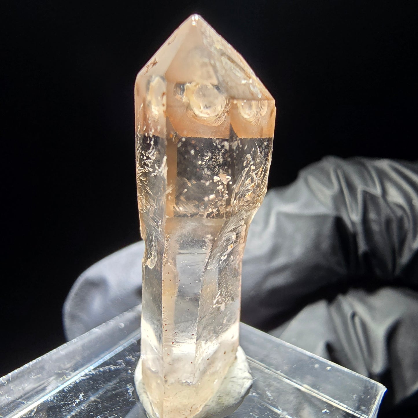 Klare Phantom Rauchquarz Zepter Spitze Goboboseb, Namibia 31*11*8mm Sammlung