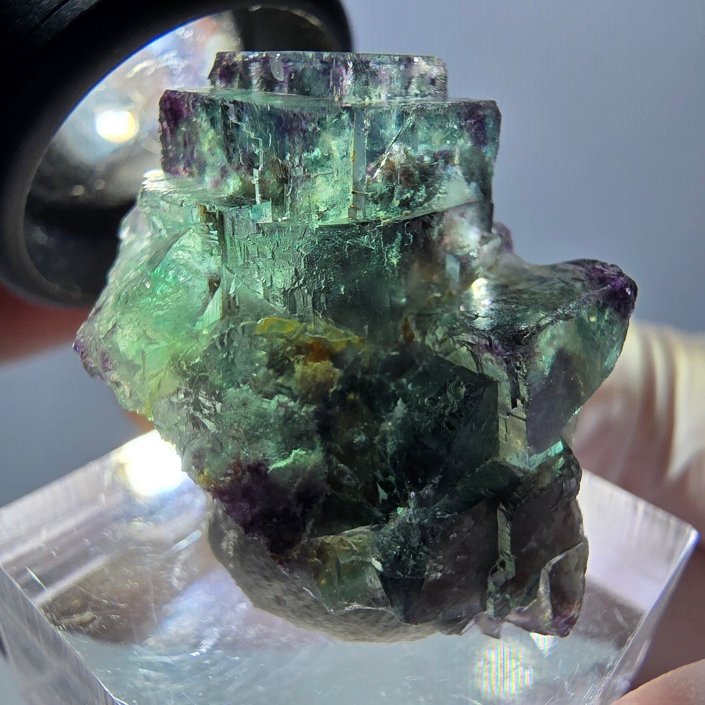 Spécimen de cube de fluorite fantôme, parqueté vert violet Okorusu, Namibie 31*25*18 mm
