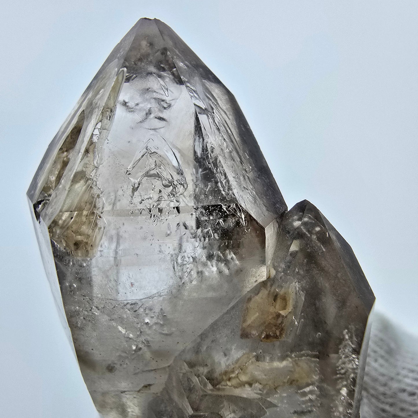 Enhydro Phantom Rauchquarz Fenster Zepter, 1x Blase Goboboseb Namibia 44*29*21mm