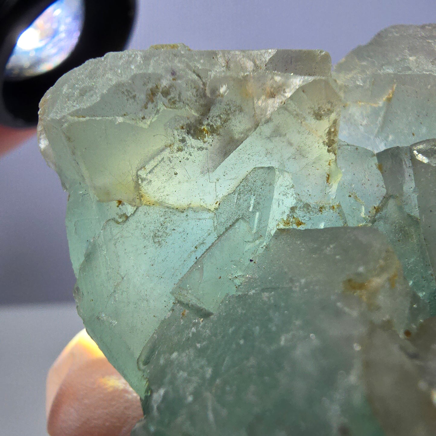 Rare spécimen de cube de fluorite fantôme, vert et blanc, Okorusu, Namibie, 61 x 51 x 34 mm