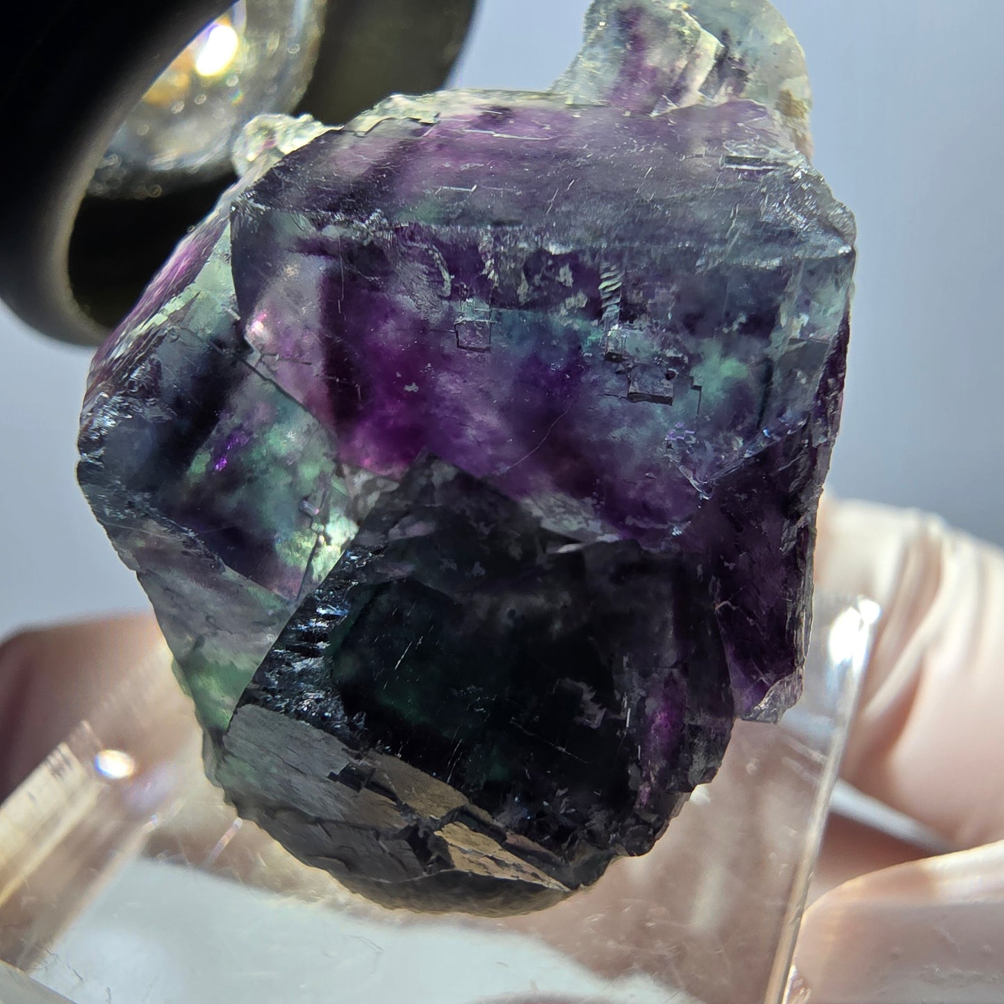 Spécimen de cube de fluorite fantôme, parqueté vert violet Okorusu, Namibie 32*28*17 mm