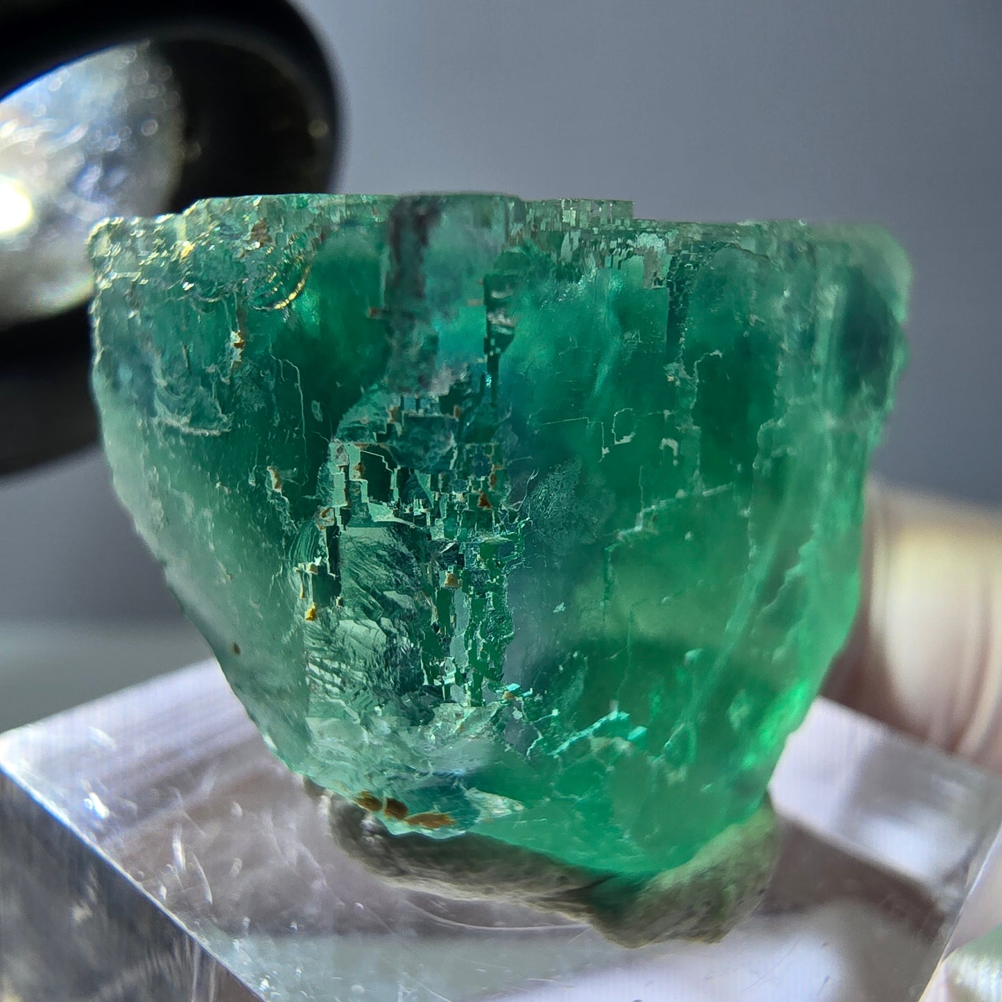 Cube de fluorite fantôme transparente parquetée, vert Okorusu, Namibie 30 x 23 x 21 mm