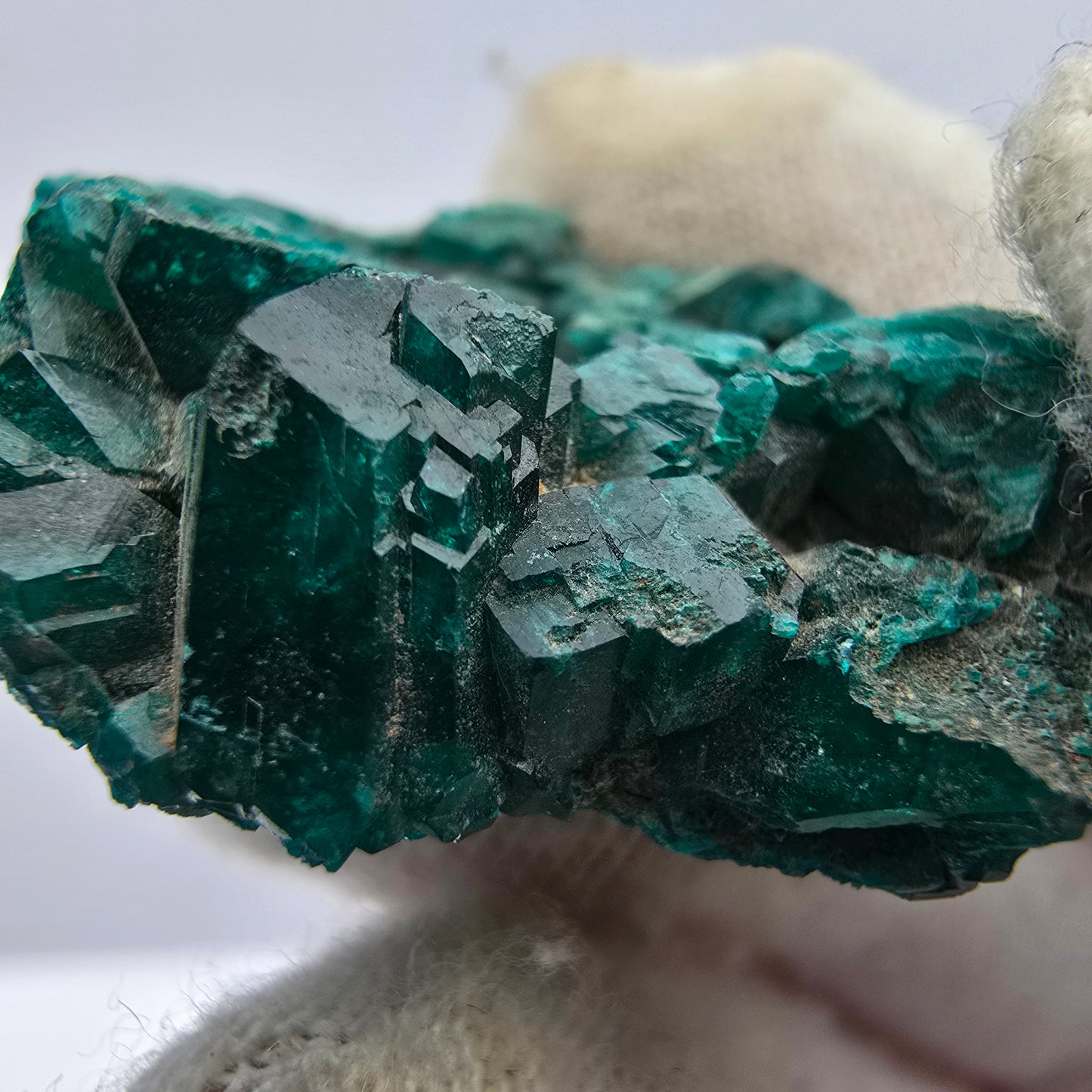 Seltene Diotas XX mit Azurit Stufe Kaokoveld, Namibia 33*30*8mm Sammlung