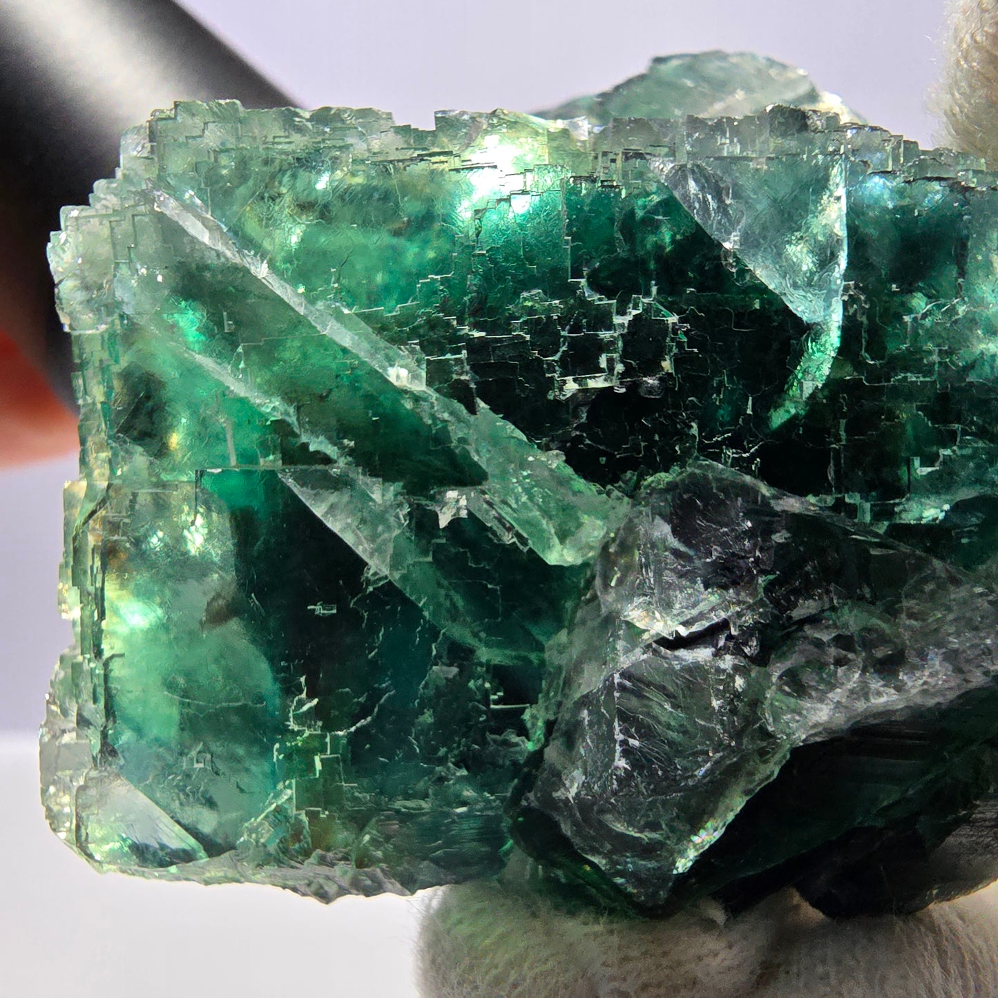 Cube de fluorite fantôme parqueté vert violet Okorusu Namibie 65*61*37mm