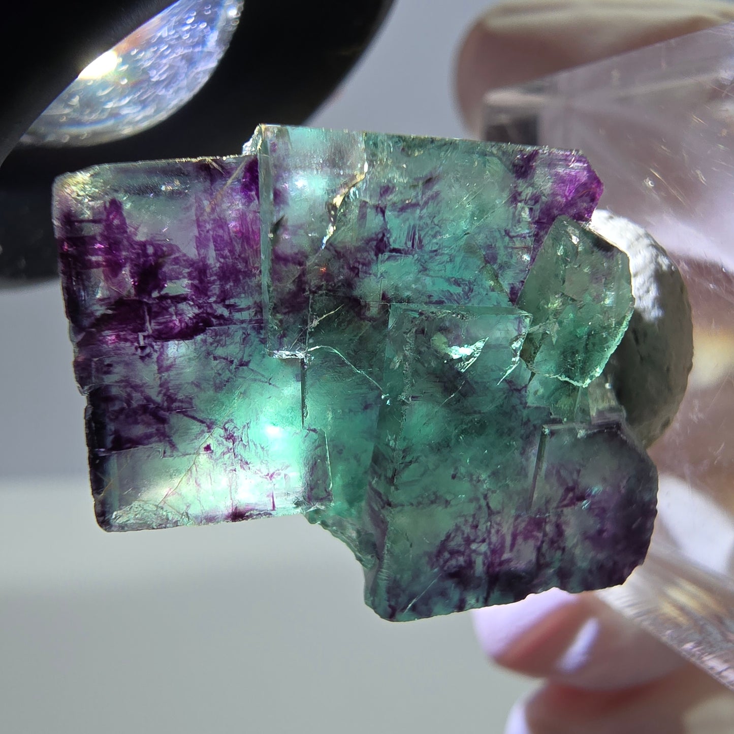 Phantom Fluorit Würfel Stufe, parkettiert grün lila Okorusu, Namibia 26*18*13mm