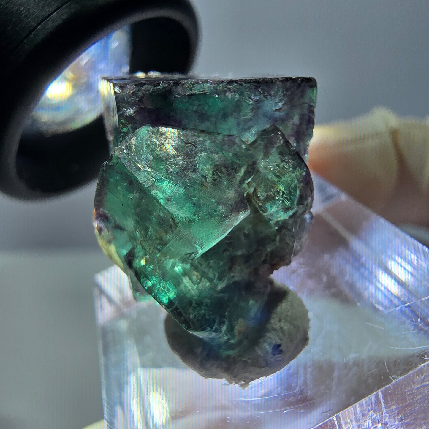 Phantom Fluorit Würfel Stufe, parkettiert grün lila Okorusu, Namibia 21*20*17mm