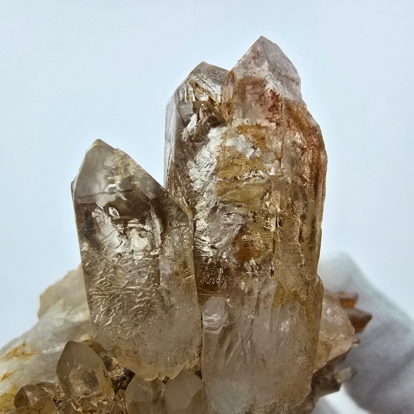 Enhydro Phantom Rauchquarz Zepter auf Matrix Goboboseb, Namibia 67*60*37mm