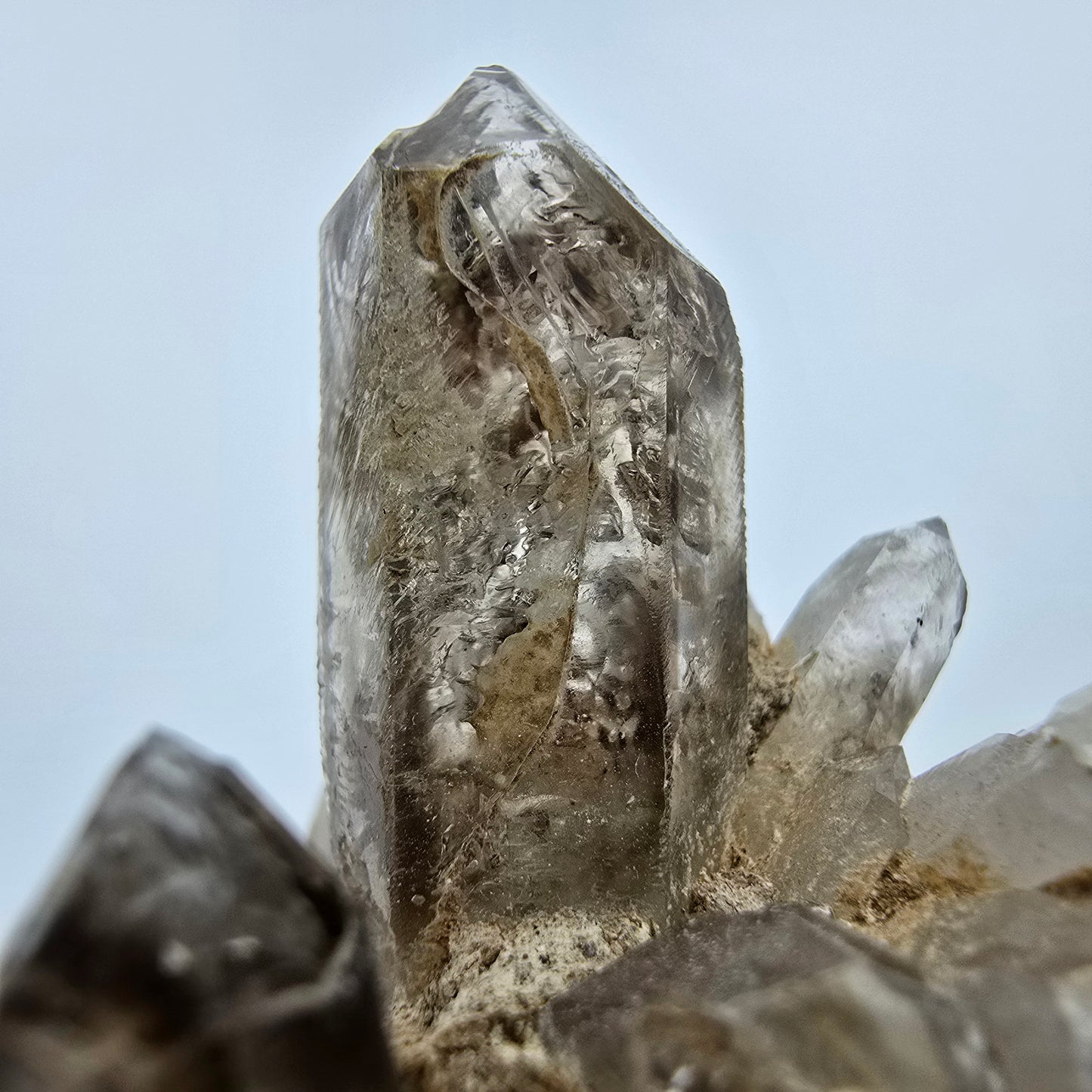 Phantom Rauchquarz Zepter auf Matrix Goboboseb, Namibia 57*51*47mm Sammlung