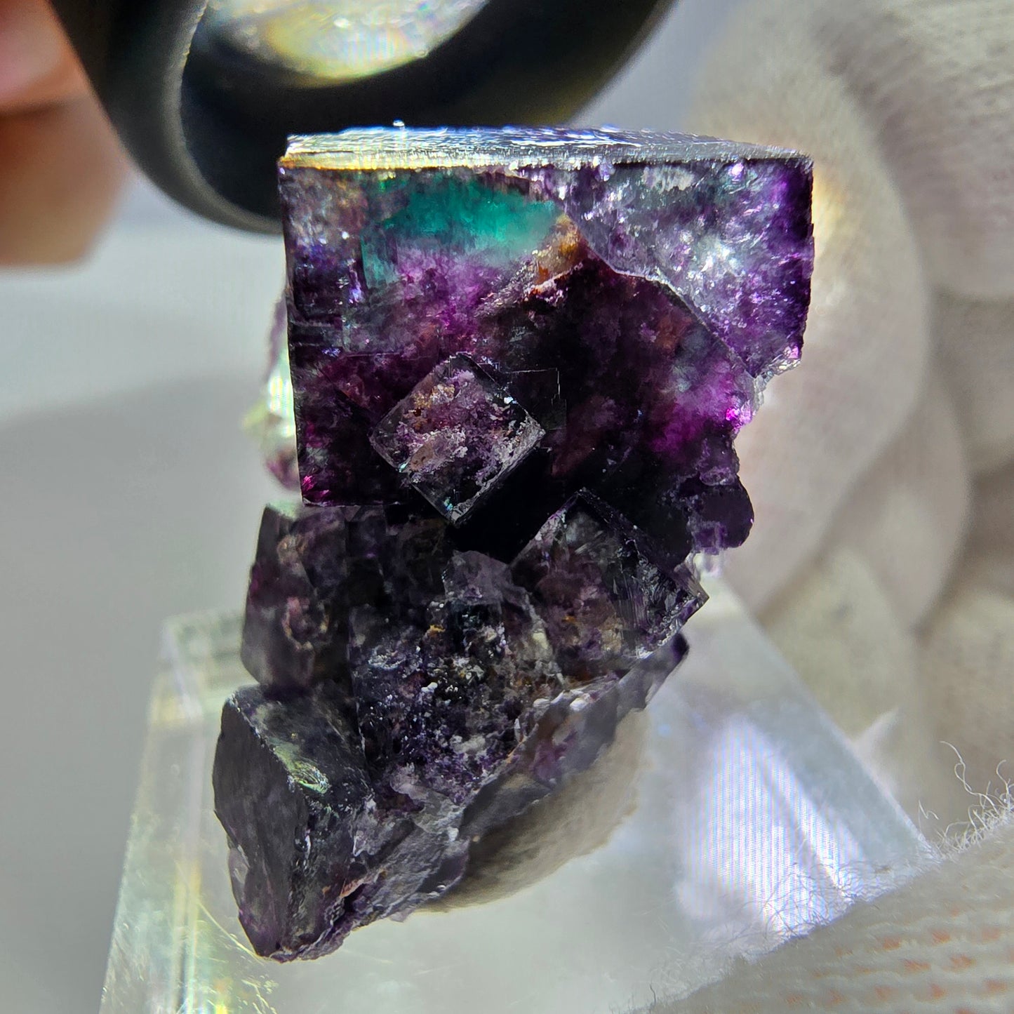 Spécimen rare de cube de fluorite fantôme, vert zonal et violet, Okorusu, Namibie, 32 x 29 x 18 mm
