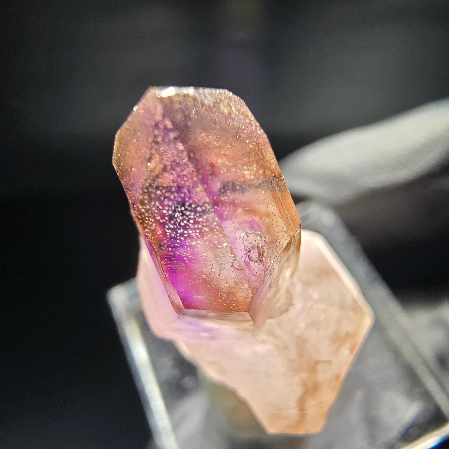 Seltene Phantom Zepter Amethyst Spitze lila braun Goboboseb, Namibia 39*17*15mm