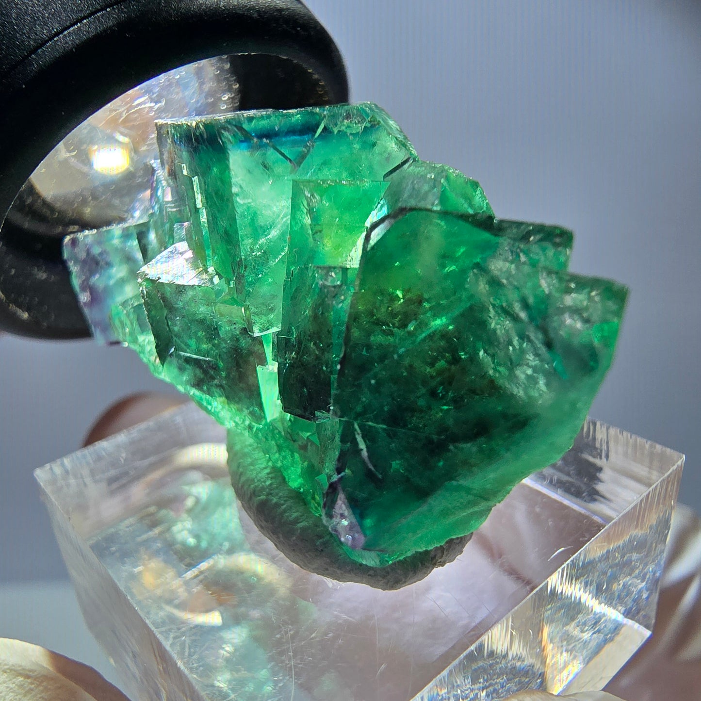Rare spécimen de cube de fluorite, vert-violet, Okorusu, Namibie, 37 x 21 x 18 mm