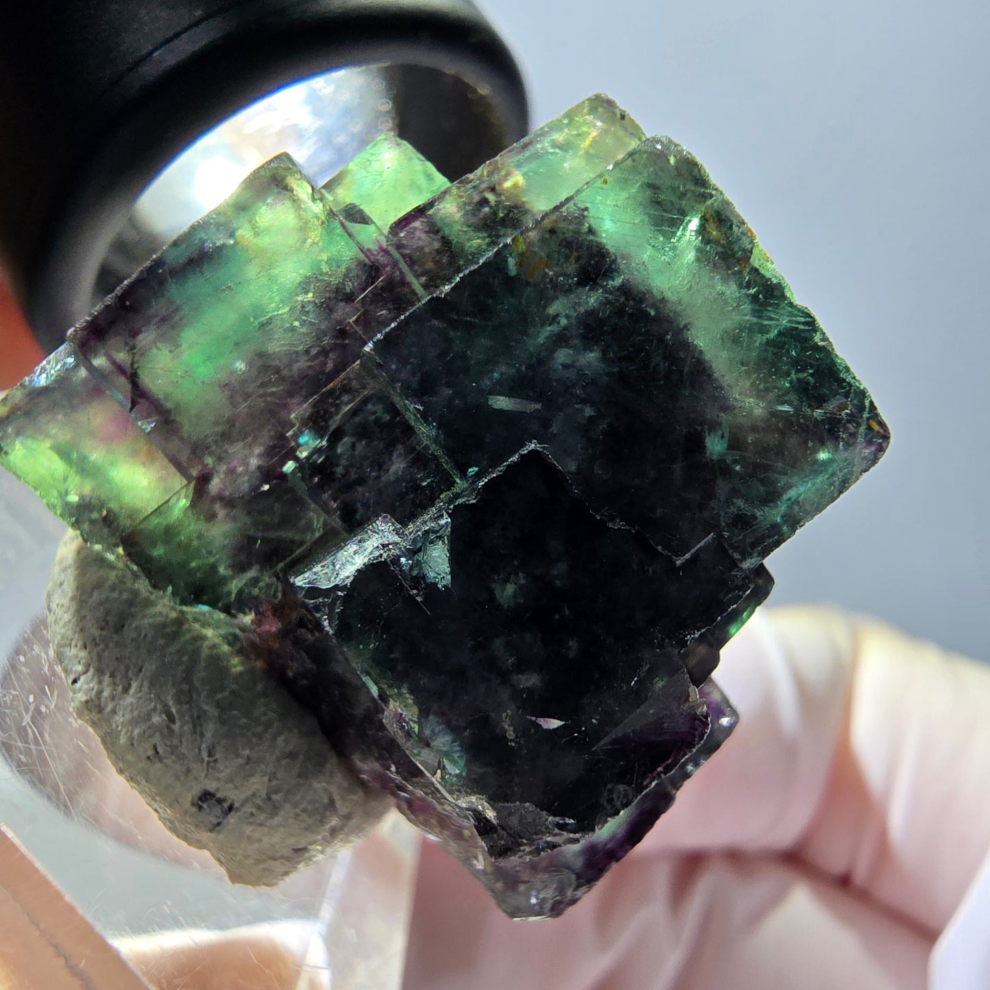 Spécimen de cube de fluorite fantôme, parqueté vert violet Okorusu, Namibie 28*27*22 mm