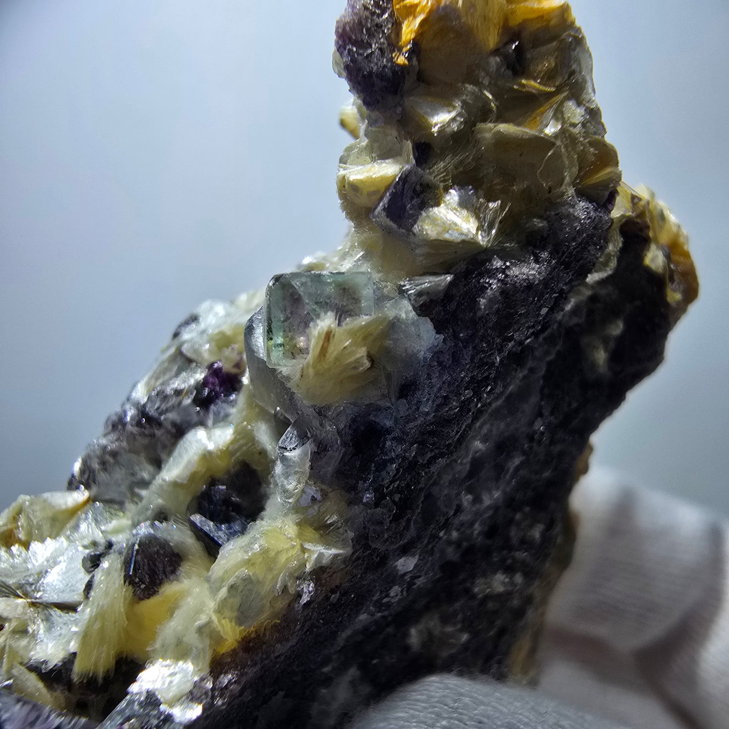 Cubes de fluorite fantôme colorés, spécimen de muscovite, Erongo, Namibie, 79 x 62 x 25 mm