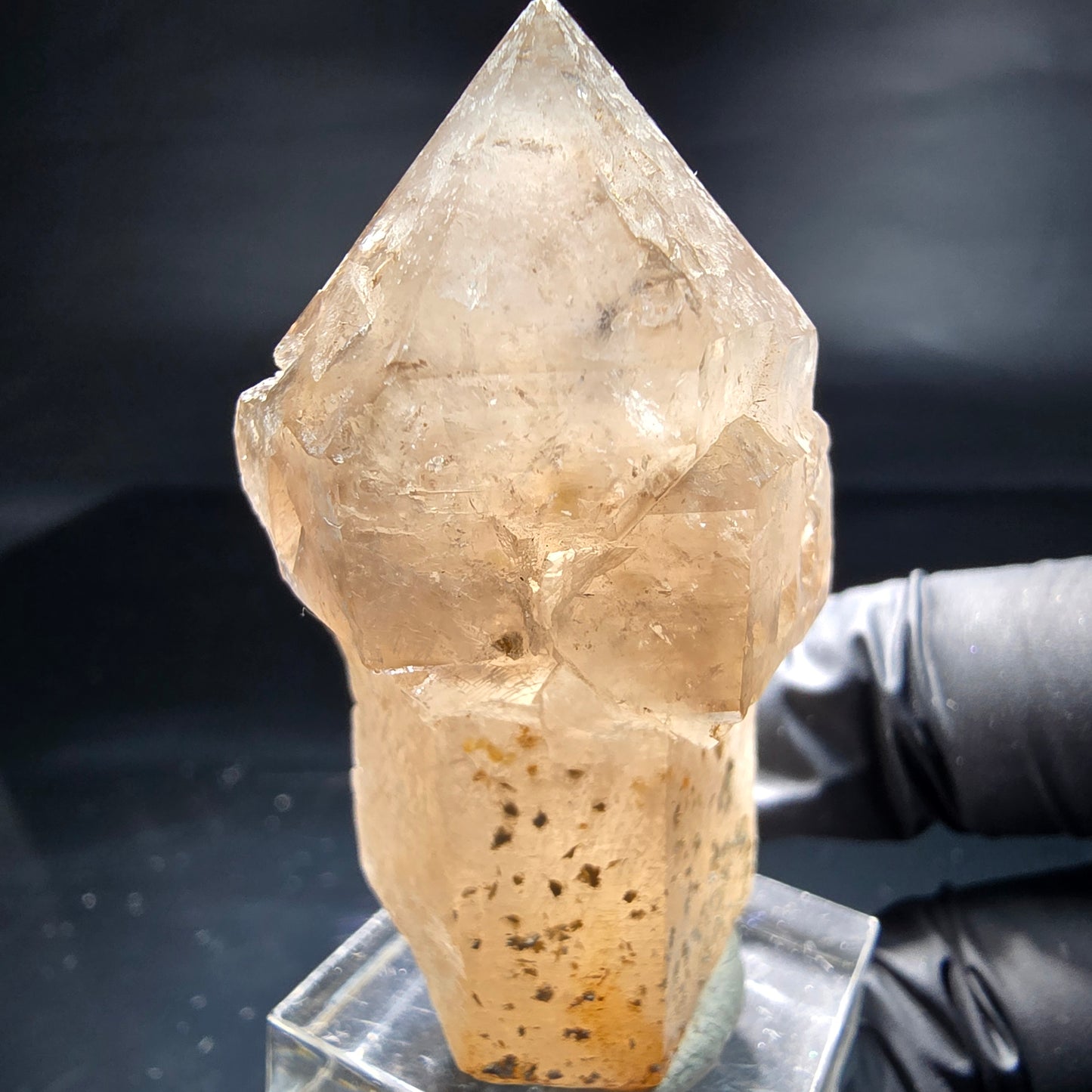 Schöne Phantom Rauchquarz Zepter Spitze Erongo, Namibia 53*34*25mm Sammlung