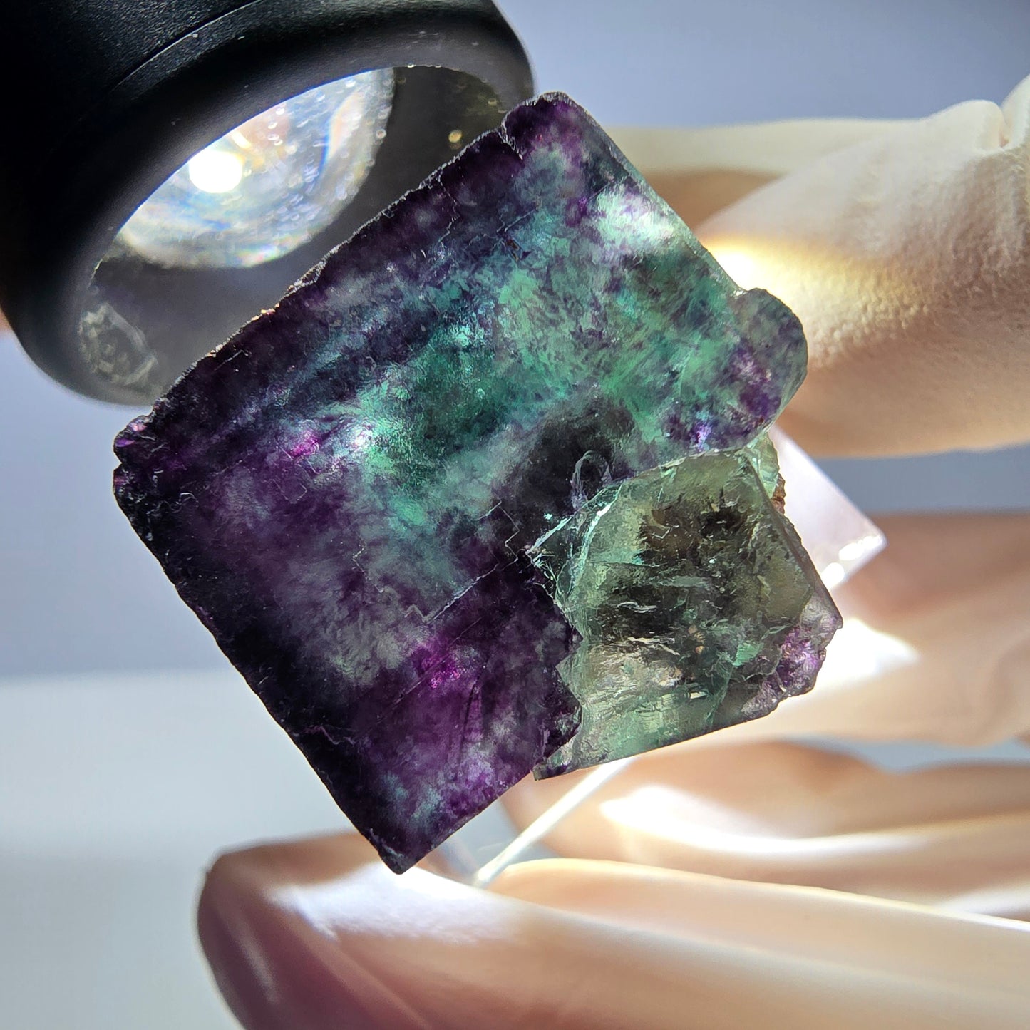 Rare cube de fluorite fantôme parqueté vert violet Okorusu Namibie 23*22*22mm