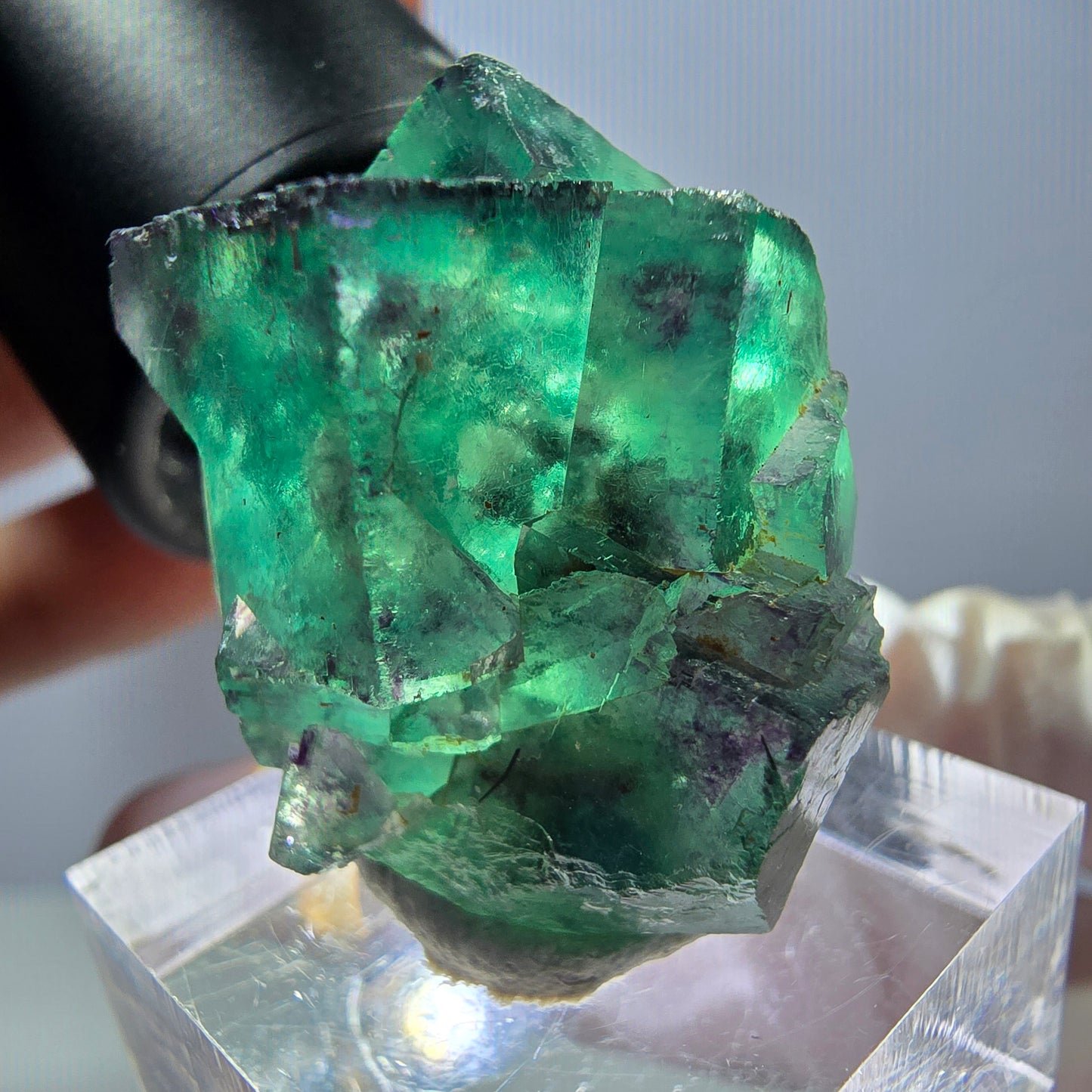 Rare spécimen de cube de fluorite, vert-violet, Okorusu, Namibie, 33 x 26 x 22 mm