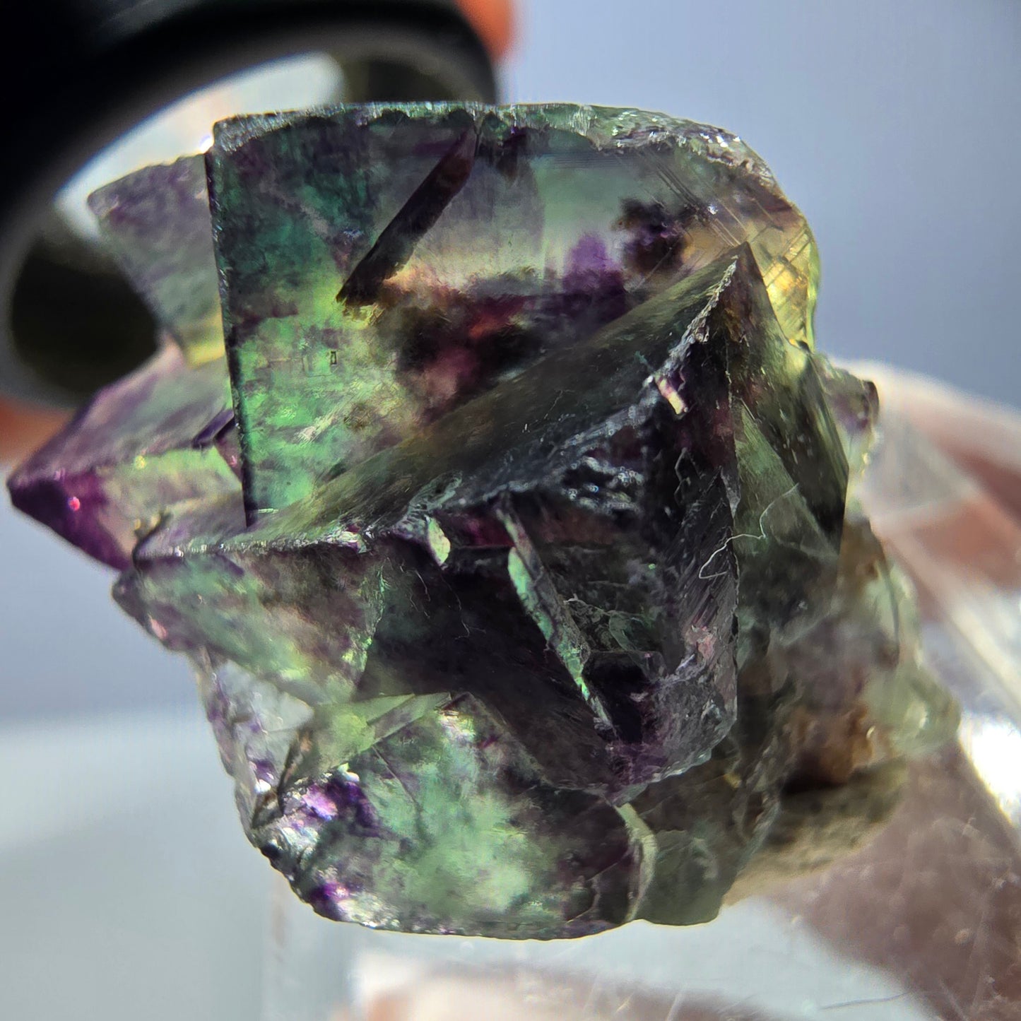 Spécimen de cube de fluorite fantôme, parqueté vert violet Okorusu, Namibie 28*21*15 mm