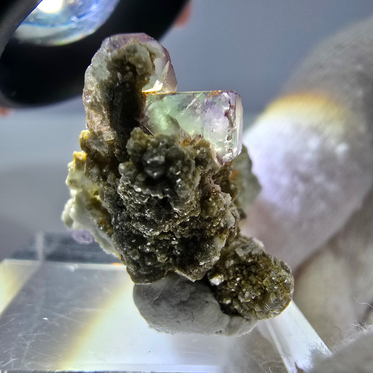 2er Set Phantom Fluorit Würfel zonal, Muskovit Stufe Erongo, Namibia 20+23mm
