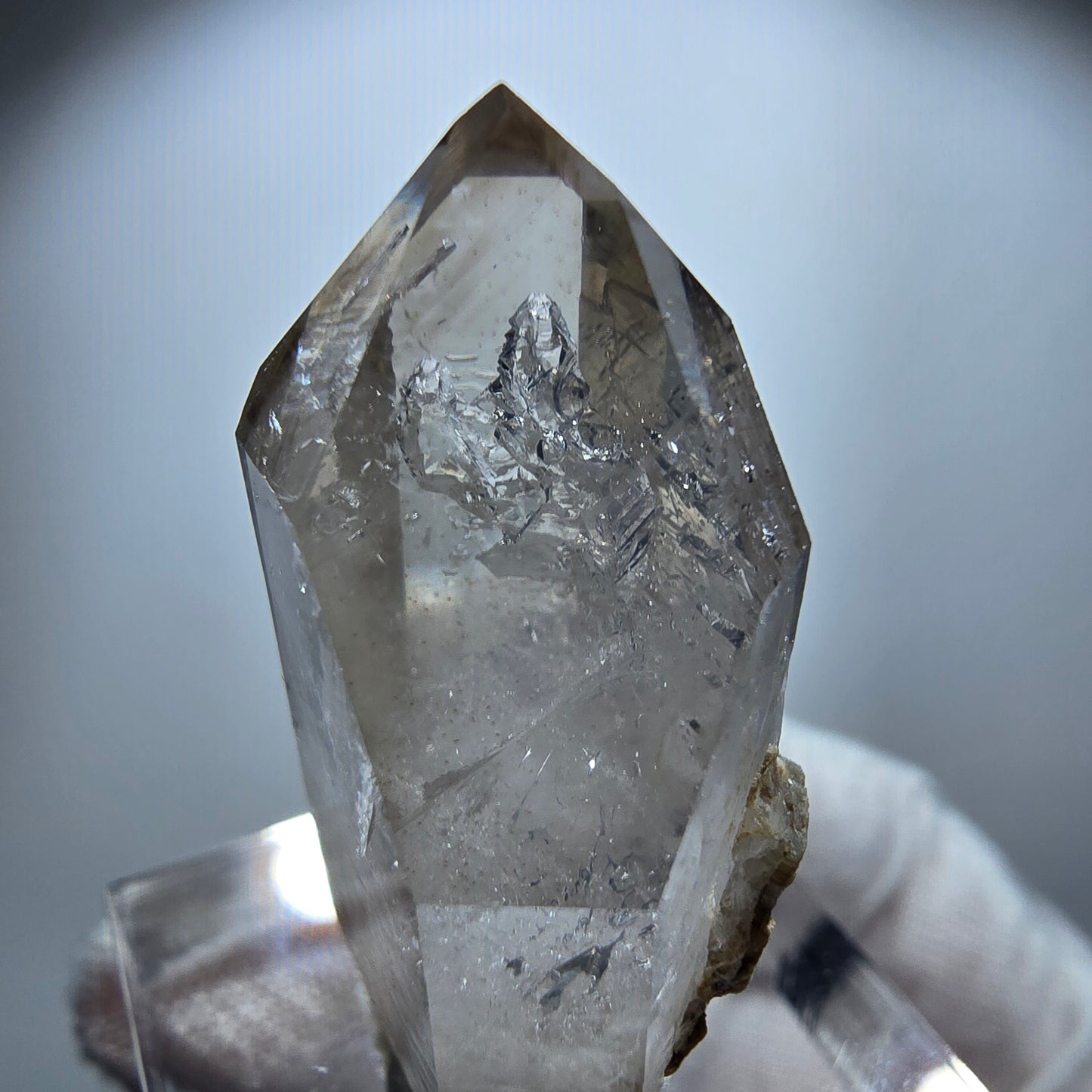 Enhydro Phantom Rauchquarz Spitze, 1x Blase Goboboseb, Namibia 35*19*14mm