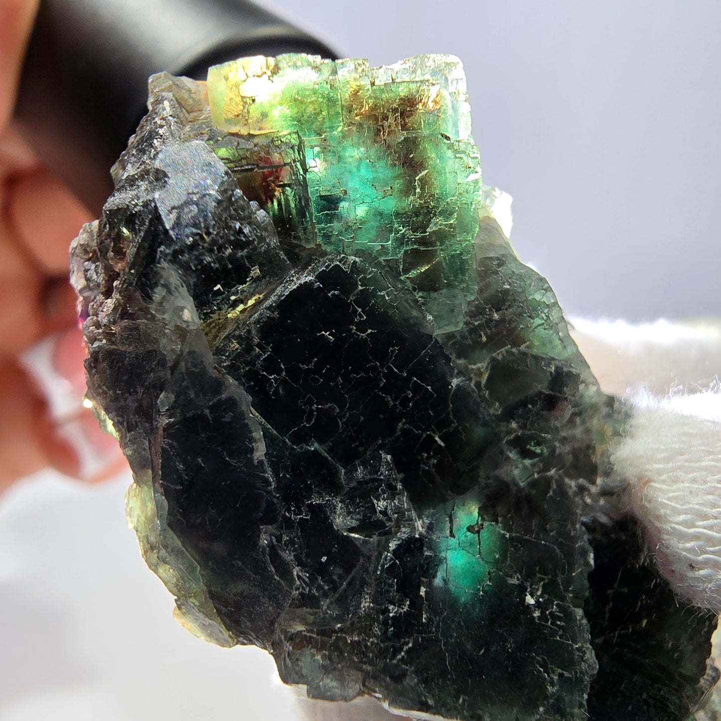 Rare spécimen de cube de fluorite fantôme, parqueté vert Okorusu, Namibie, 52 x 29 x 18 mm