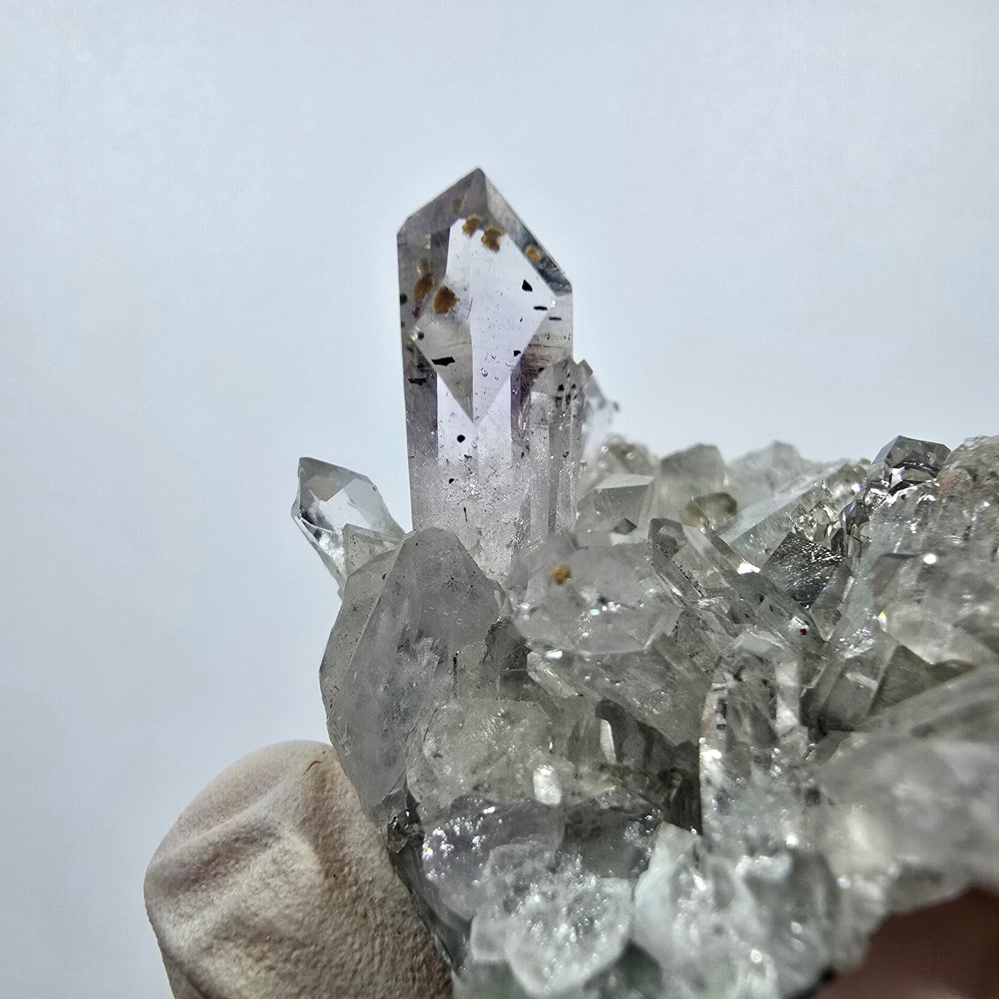 Quartz Harlequin rare, spécimen de chlorite, mine Streep, Goboboseb, Namibie, 46 x 32 x 28 mm