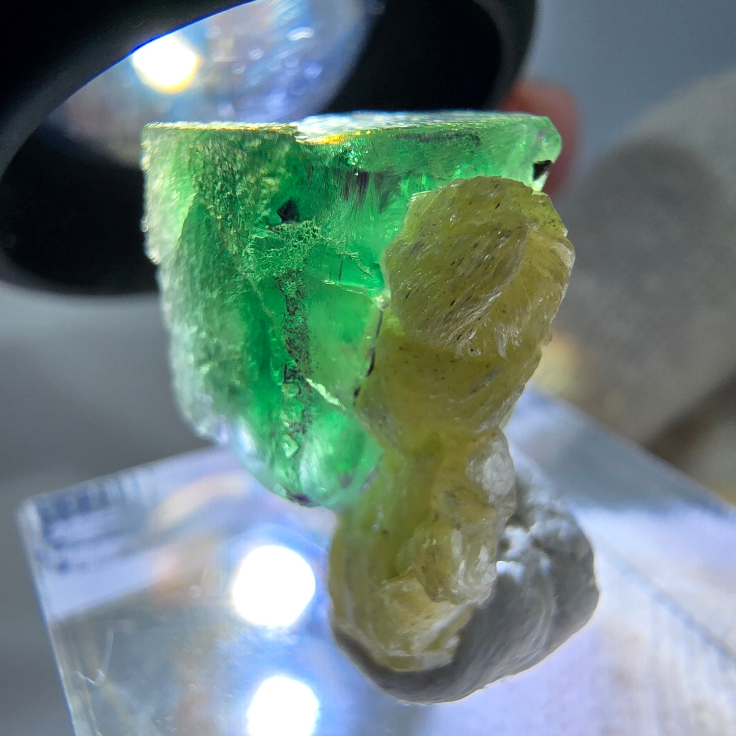Cube de fluorite fantôme zonal, spécimen de muscovite, Erongo, Namibie, 19 x 13 x 11 mm