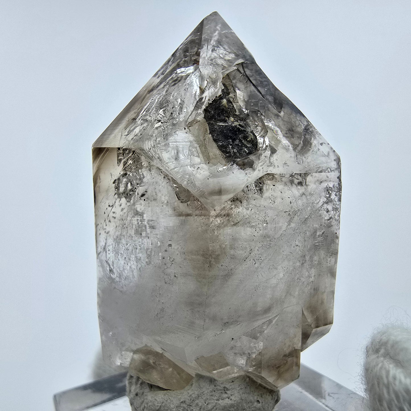 Enhydro Phantom Rauchquarz Zepter, 2x Blase Goboboseb, Namibia 43*27*21mm