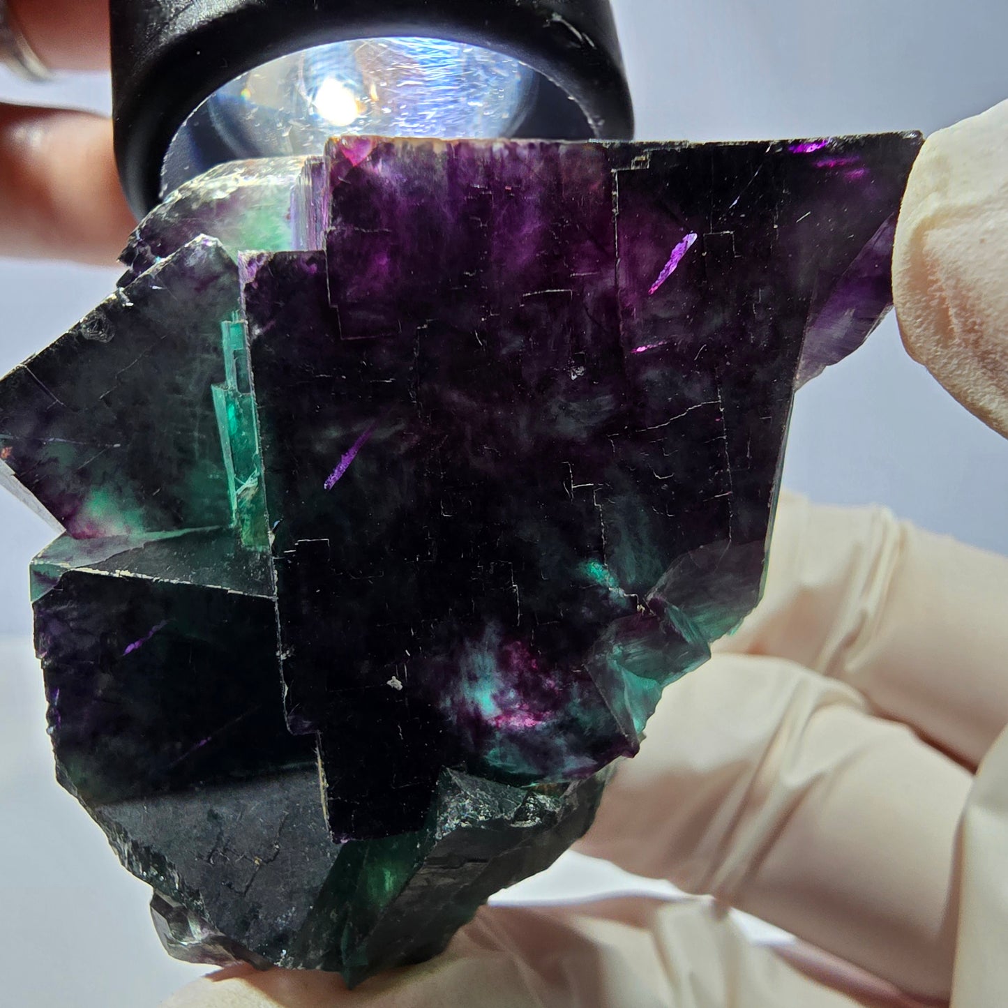 Spécimen de cube de fluorite fantôme, parqueté vert violet Okorusu, Namibie 56*51*45 mm