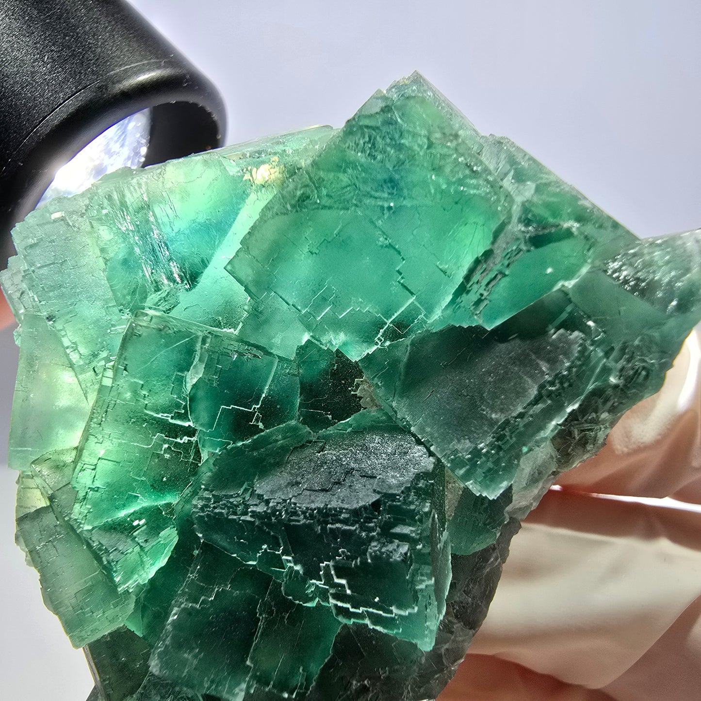 Rare spécimen de cube de fluorite fantôme, parqueté vert Okorusu, Namibie, 61 x 45 x 28 mm