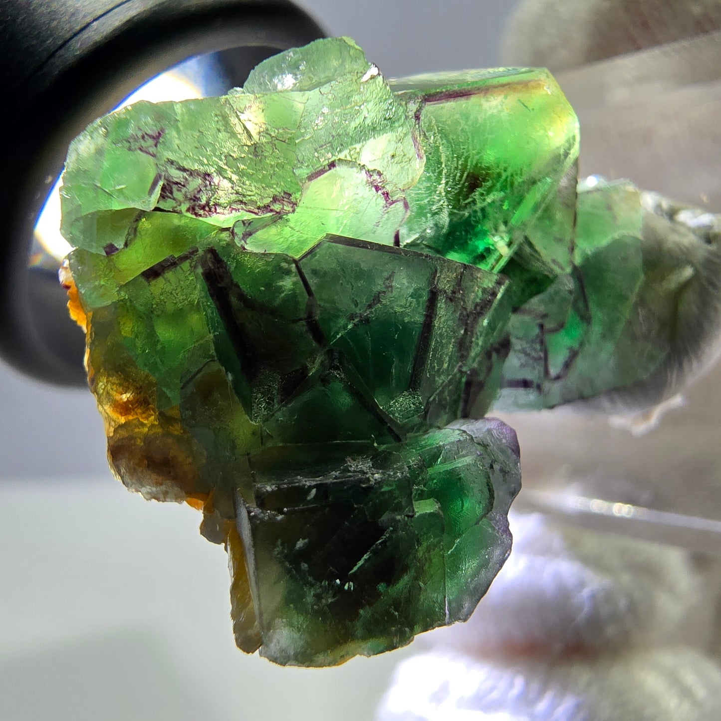 Cube de fluorite fantôme zonal, tourmaline muscovite Schörl Erongo Namibie 31 x 22 x 20 mm