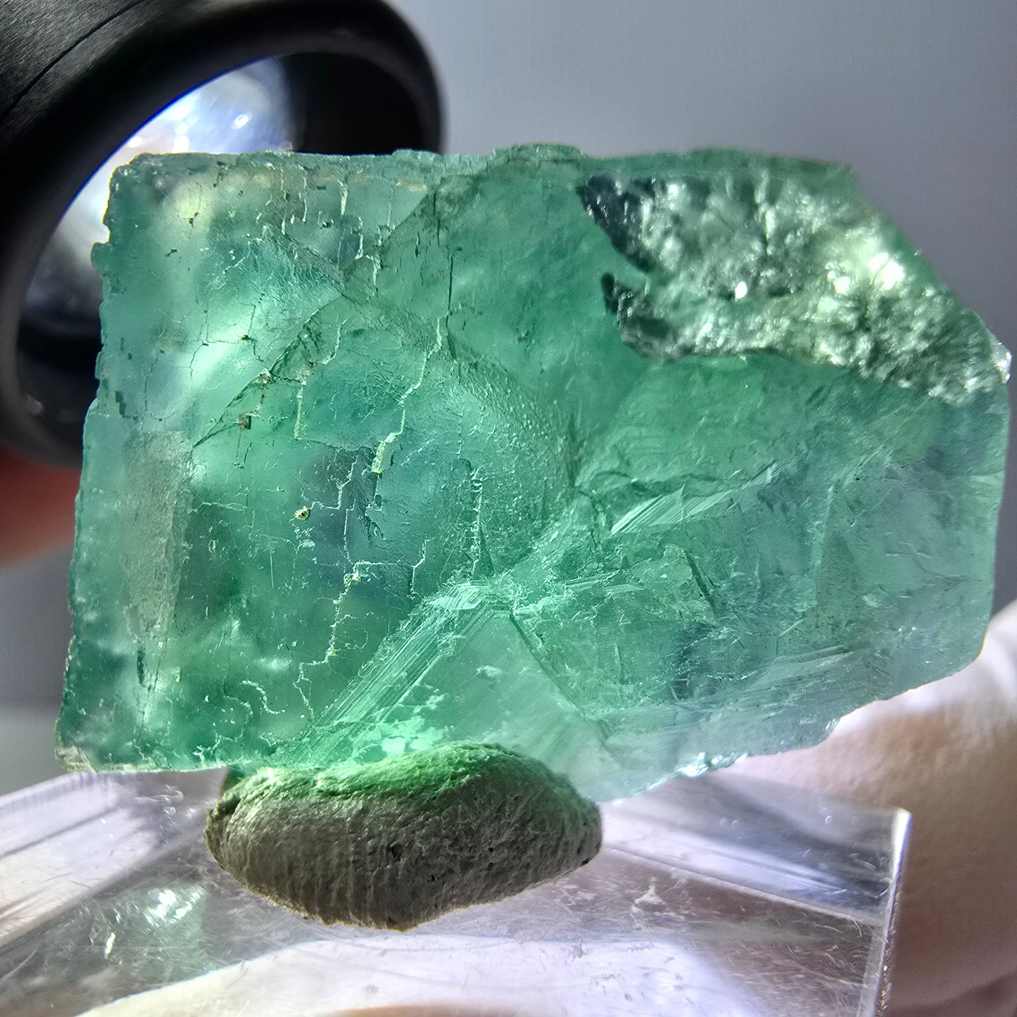Cube de fluorite fantôme transparente parquetée, vert Okorusu, Namibie 28 x 21 x 10 mm