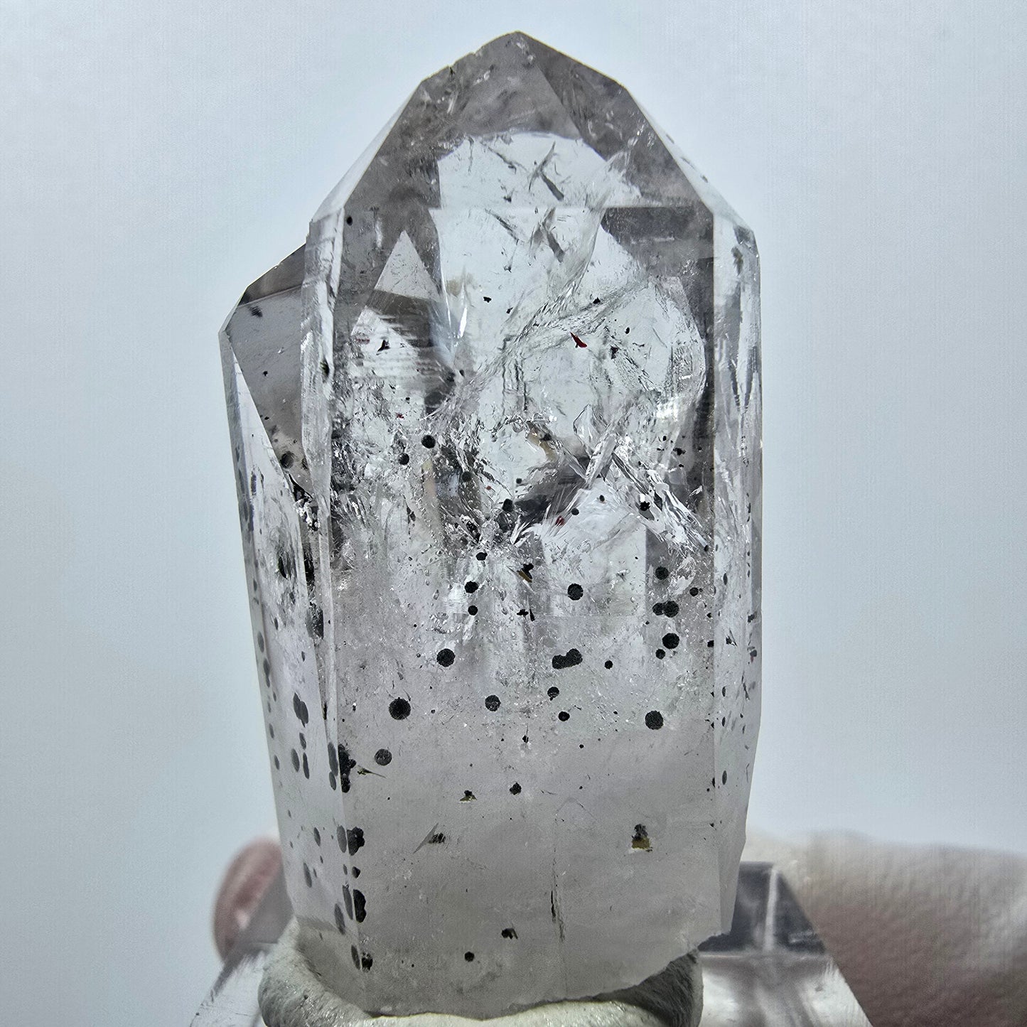 Quartz Harlequin, pointes d'hématite, mine Streep, Goboboseb, Namibie, 39 x 21 x 18 mm