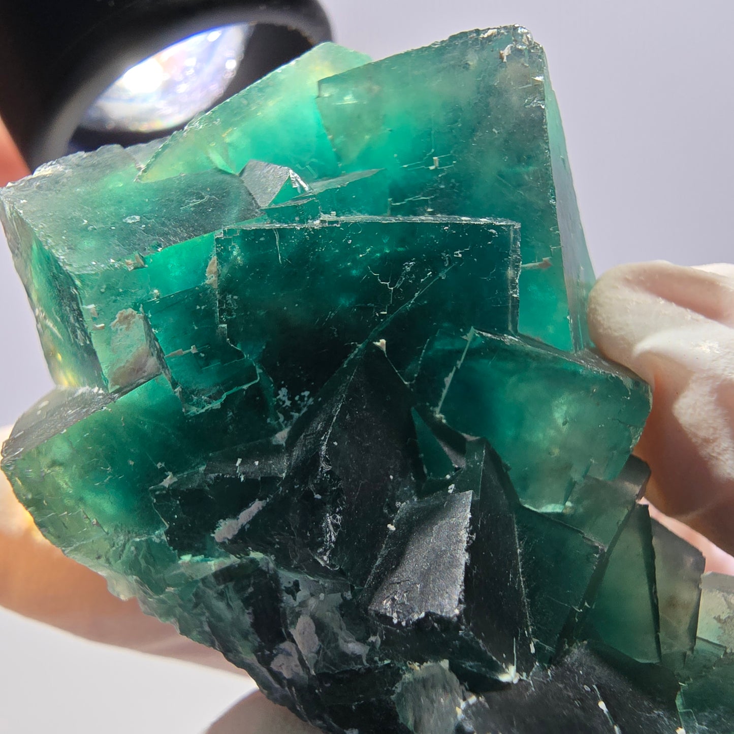 Rare spécimen de cube de fluorite fantôme, parqueté vert Okorusu, Namibie, 65 x 36 x 31 mm