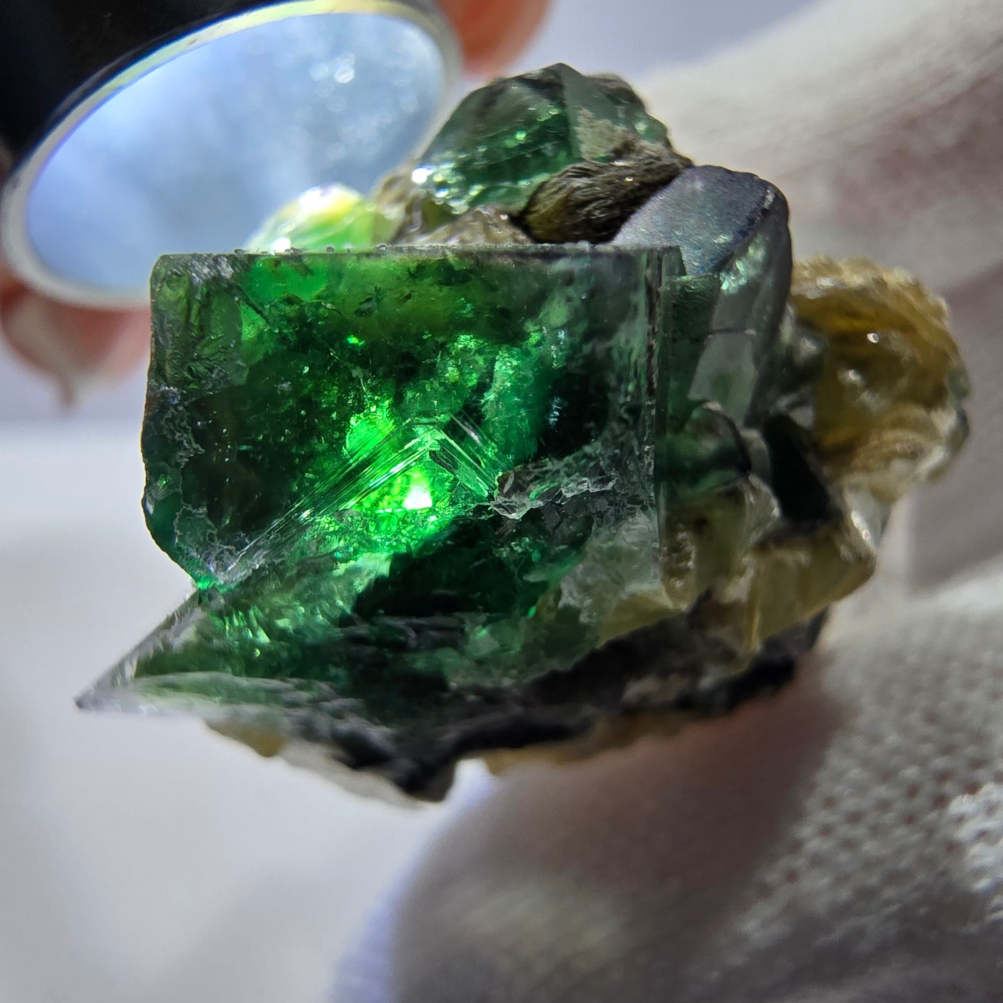 Spécimen de cube de fluorite fantôme zonal, de muscovite et de tourmaline Schorl, Erongo, Namibie, 31 x 24 x 27 mm