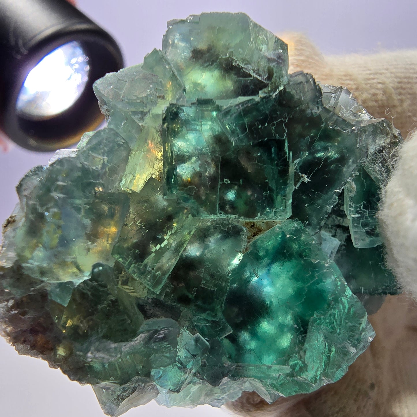 Rare spécimen de cube de fluorite fantôme, parqueté vert Okorusu, Namibie, 62 x 39 x 19 mm