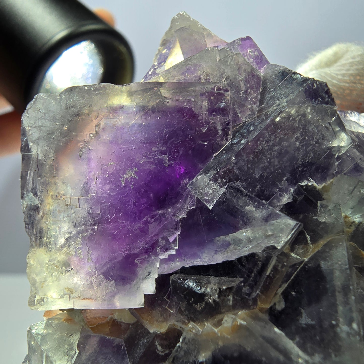 Rare spécimen de cube de fluorite fantôme, bleu-violet Okorusu Namibie 66 x 48 x 32 mm