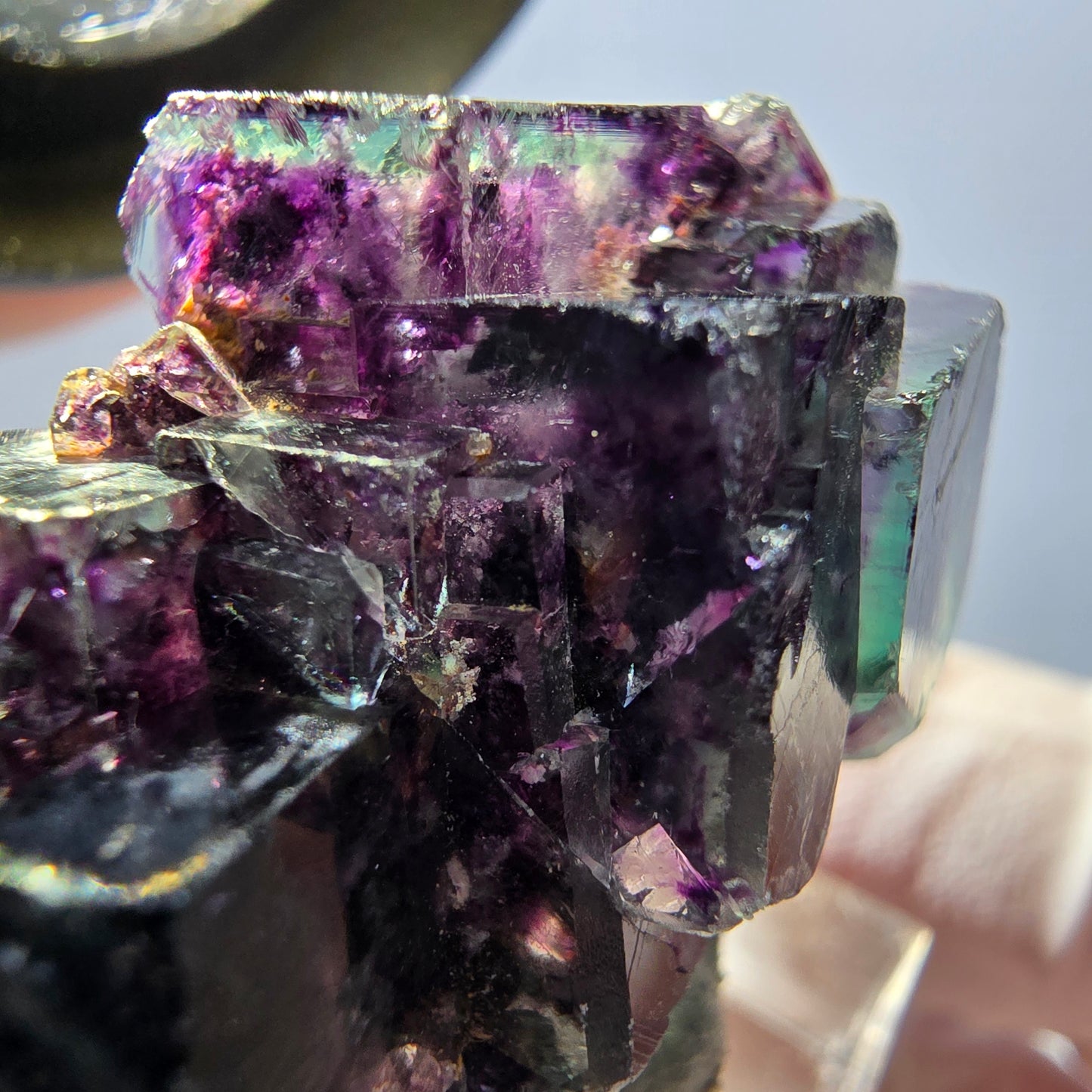 Spécimen de cube de fluorite fantôme, parqueté vert violet Okorusu, Namibie 34*24*19 mm