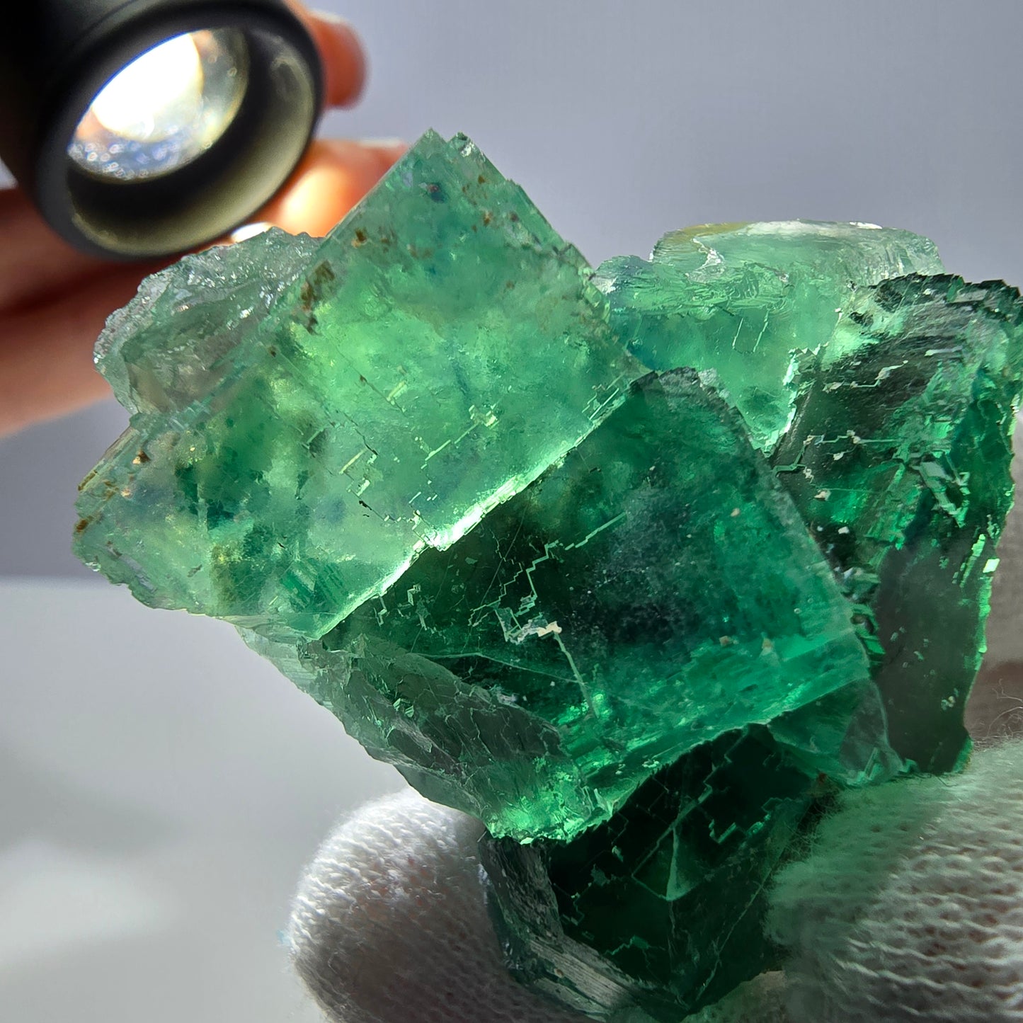 Rare spécimen de cube de fluorite fantôme, parqueté vert Okorusu, Namibie, 47 x 42 x 25 mm