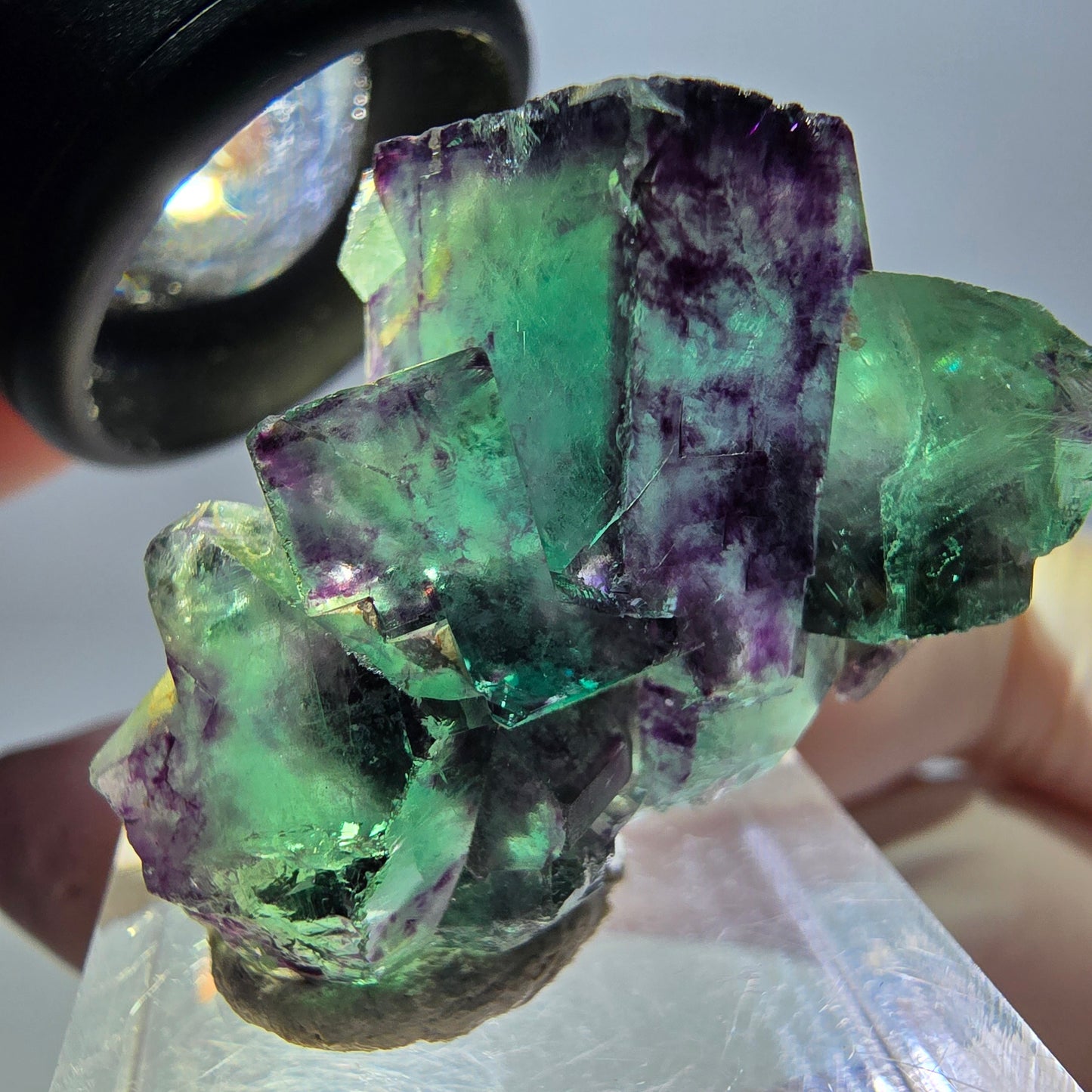 Phantom Fluorit Würfel Stufe, parkettiert grün lila Okorusu, Namibia 34*25*12mm